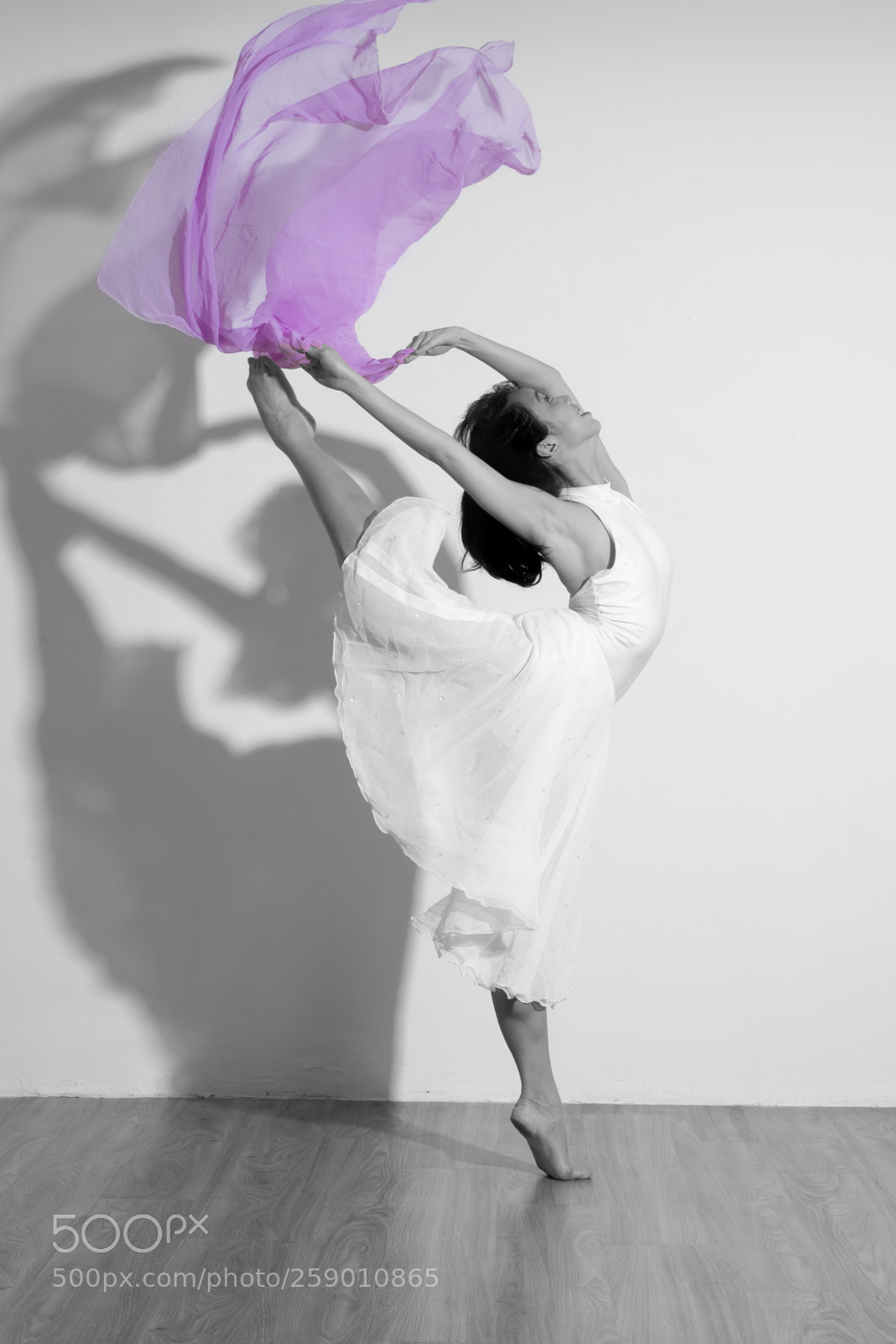 Nikon D750 sample photo. The softness of strength photography