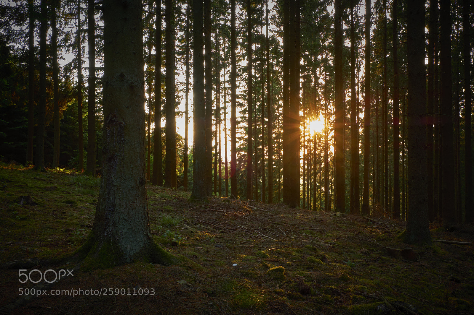 Fujifilm X-T2 sample photo. Last sunlight of the photography
