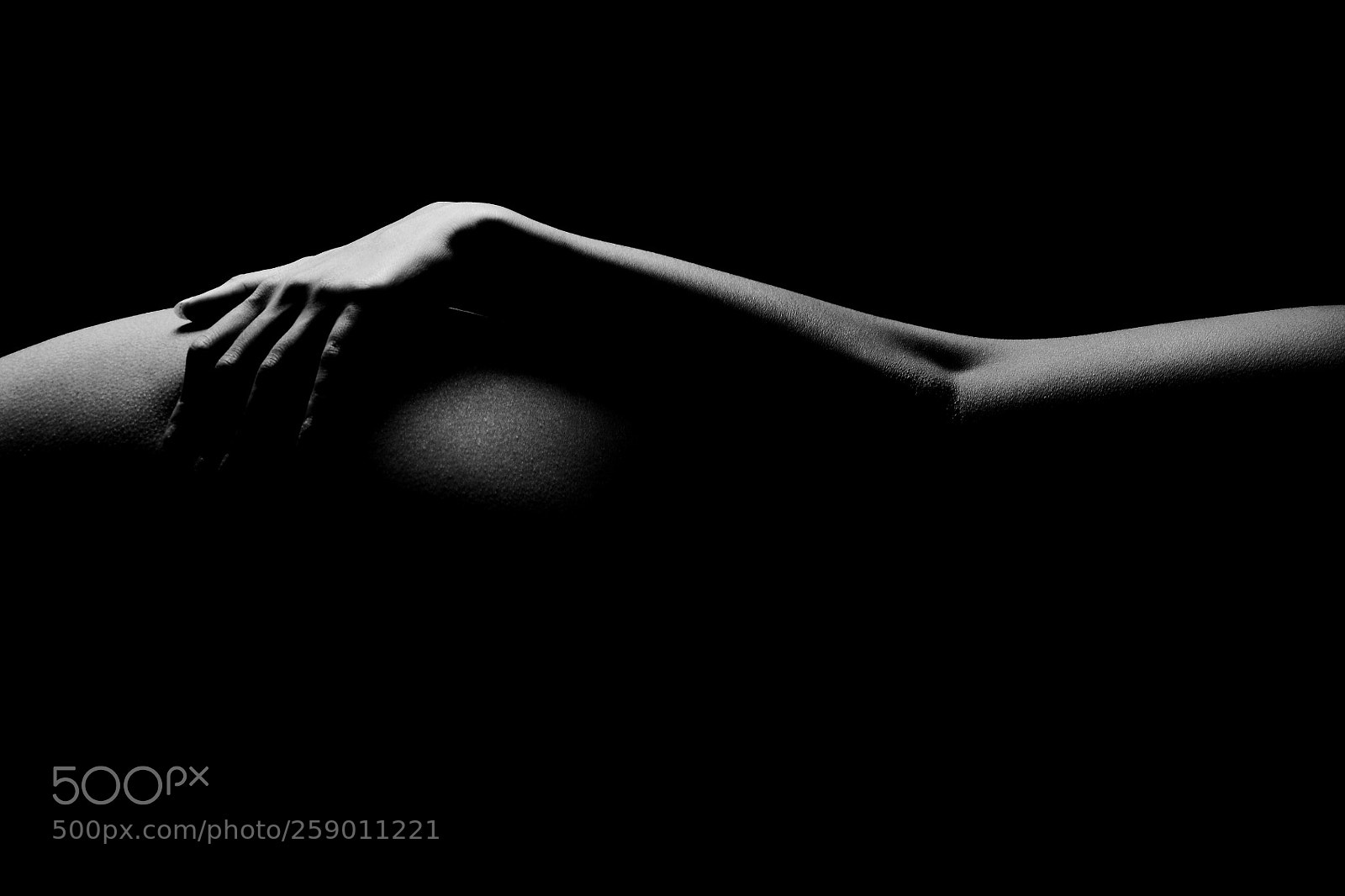 Nikon D850 sample photo. Curve photography