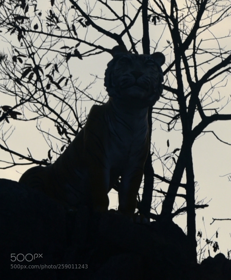 Nikon D750 sample photo. * tiger rock ( i ) photography