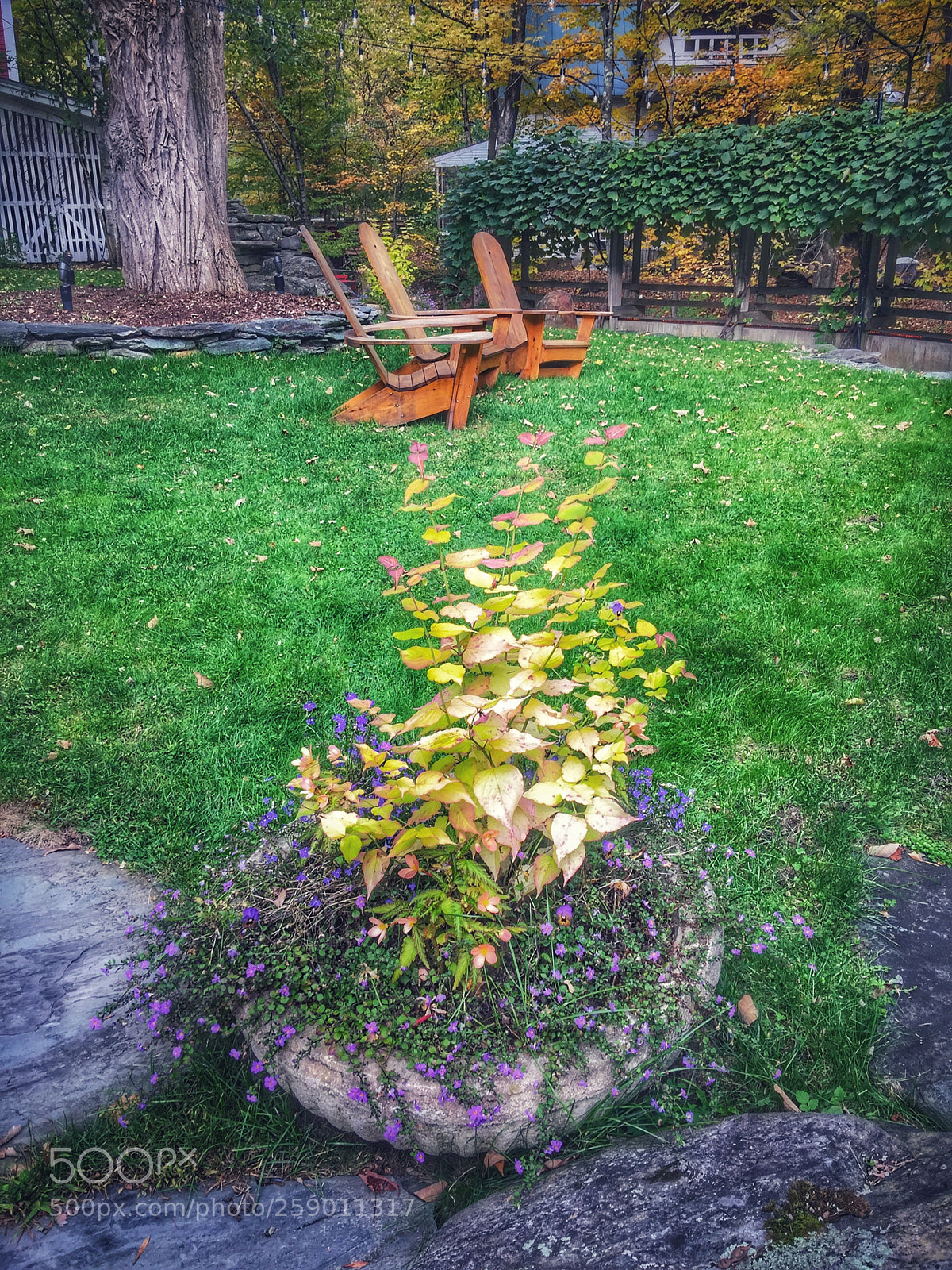 Apple iPhone 6 Plus sample photo. Adirondacks photography