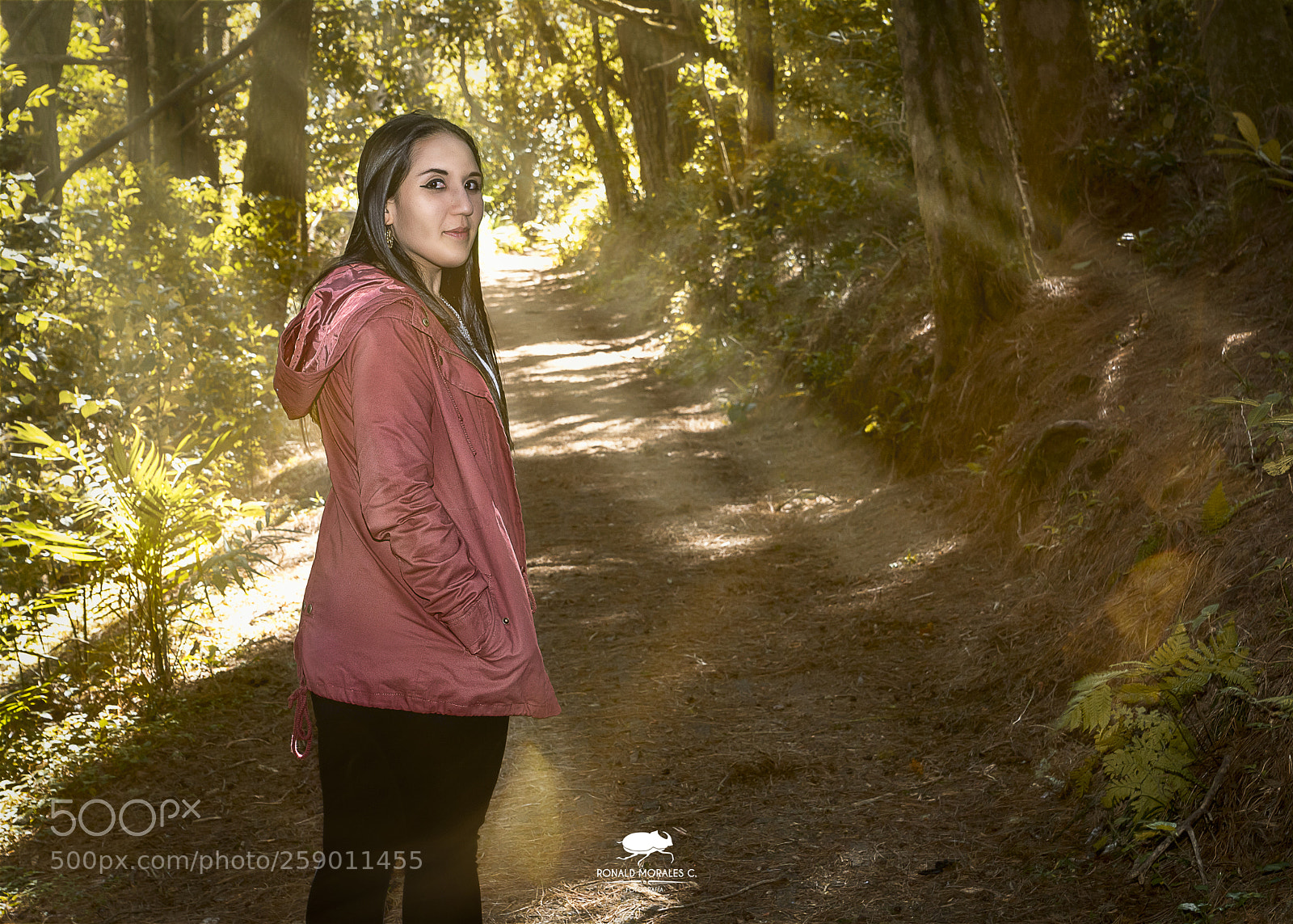 Sony ILCA-77M2 sample photo. Nancy in the yellow photography