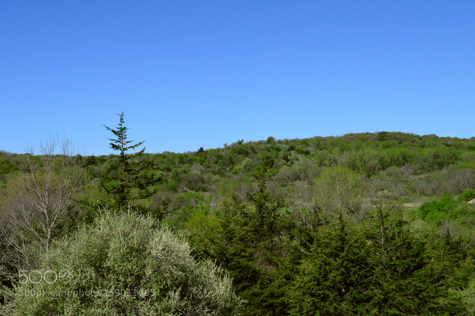 Nikon D3200 sample photo. Rolling hills photography