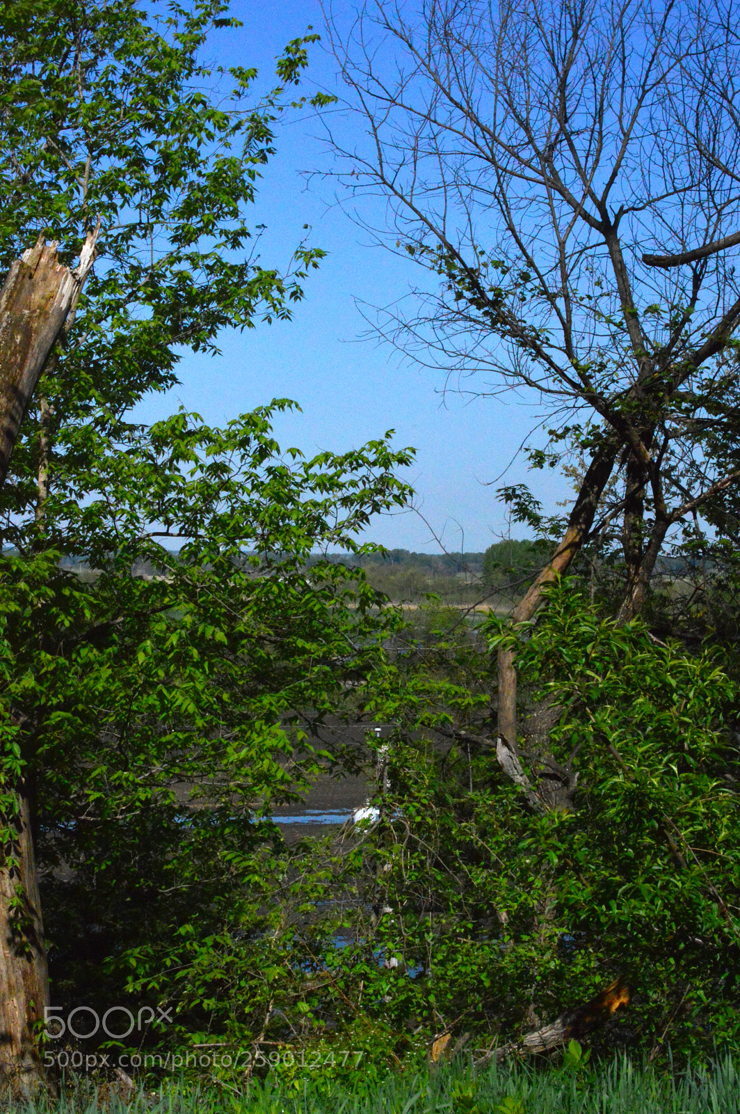 Nikon D3200 sample photo. Yard photography