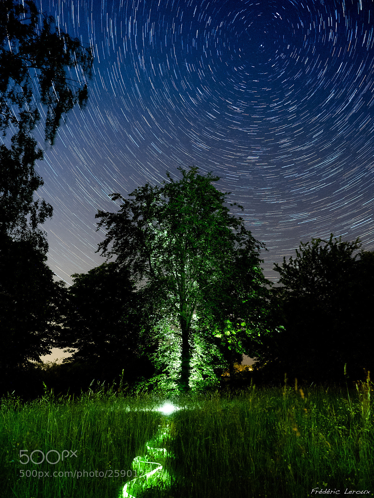 Olympus OM-D E-M1 Mark II sample photo. Last night photography