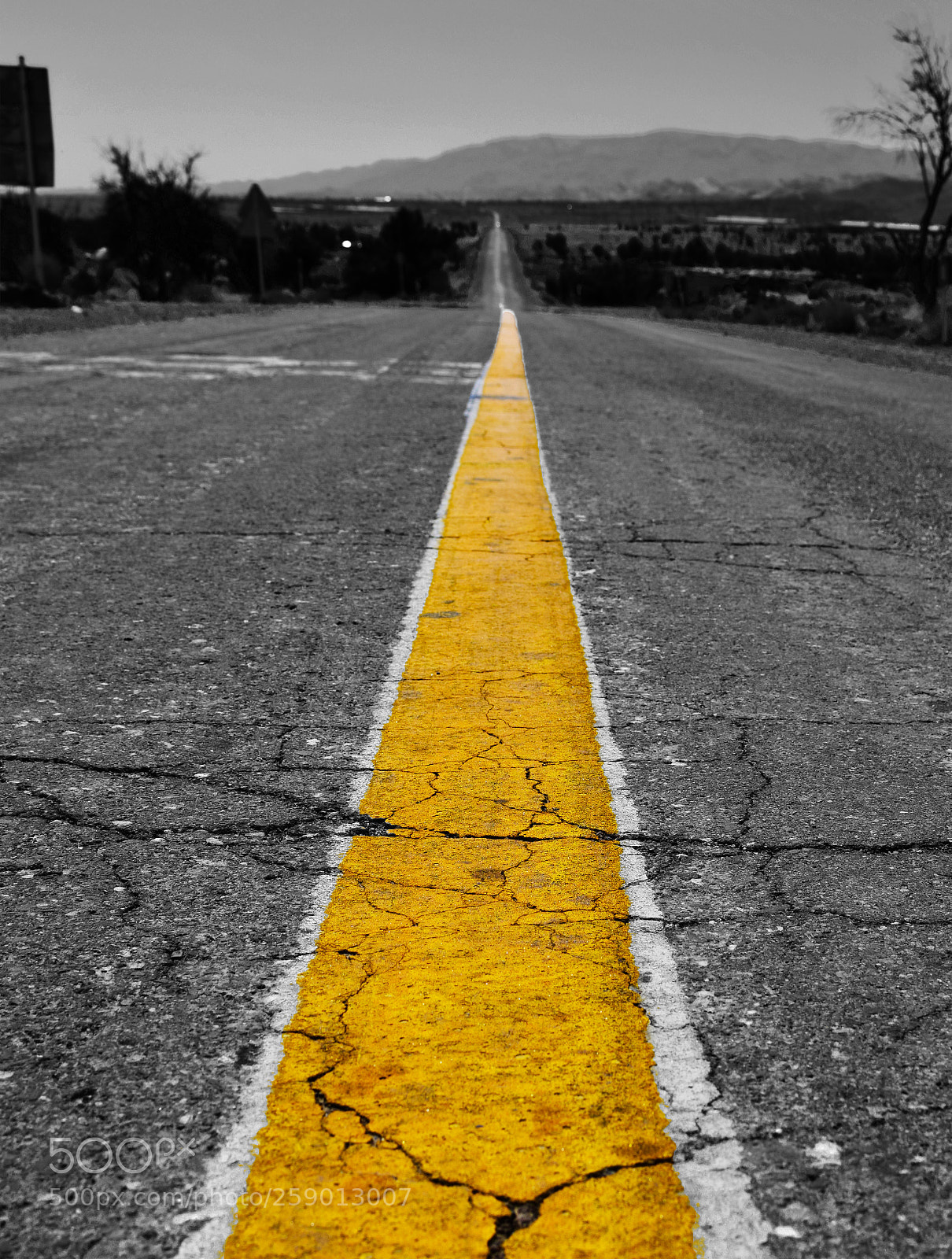 Nikon D5300 sample photo. Road photography