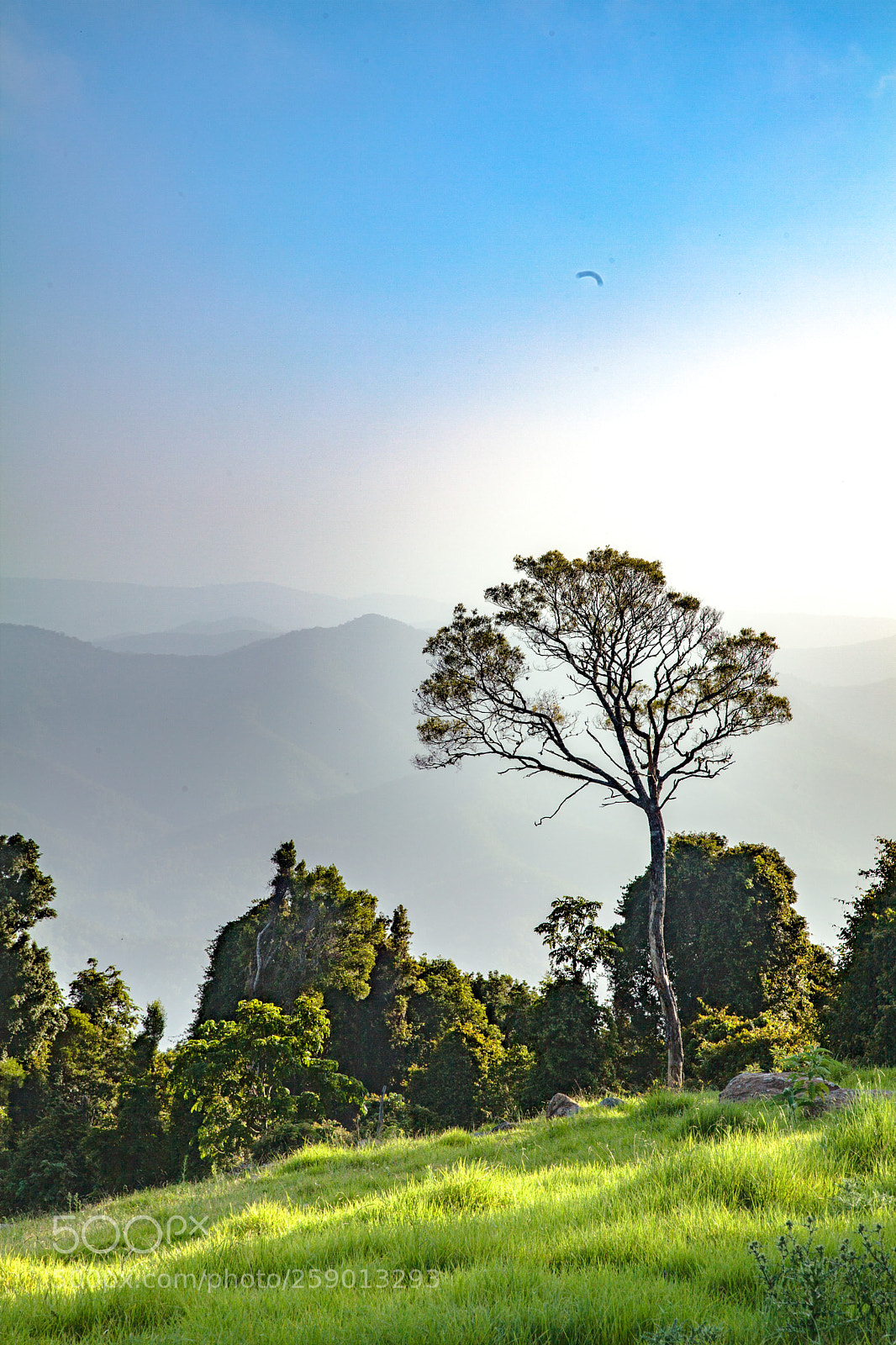 Canon EOS 5D Mark II sample photo. Img photography