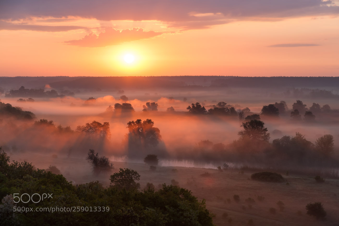 Nikon D700 sample photo. Foggy valley photography