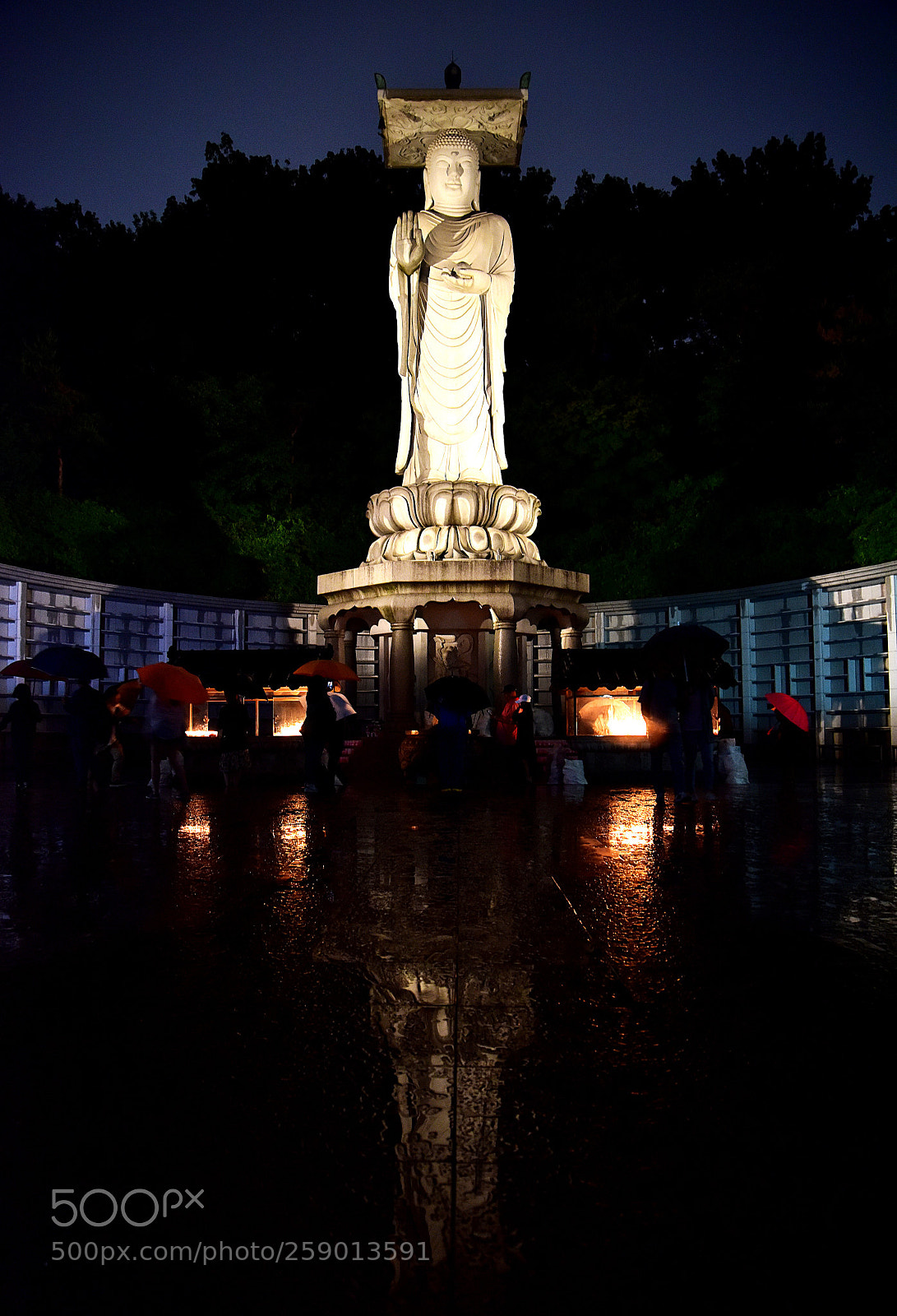Nikon D810 sample photo. Untitled photography