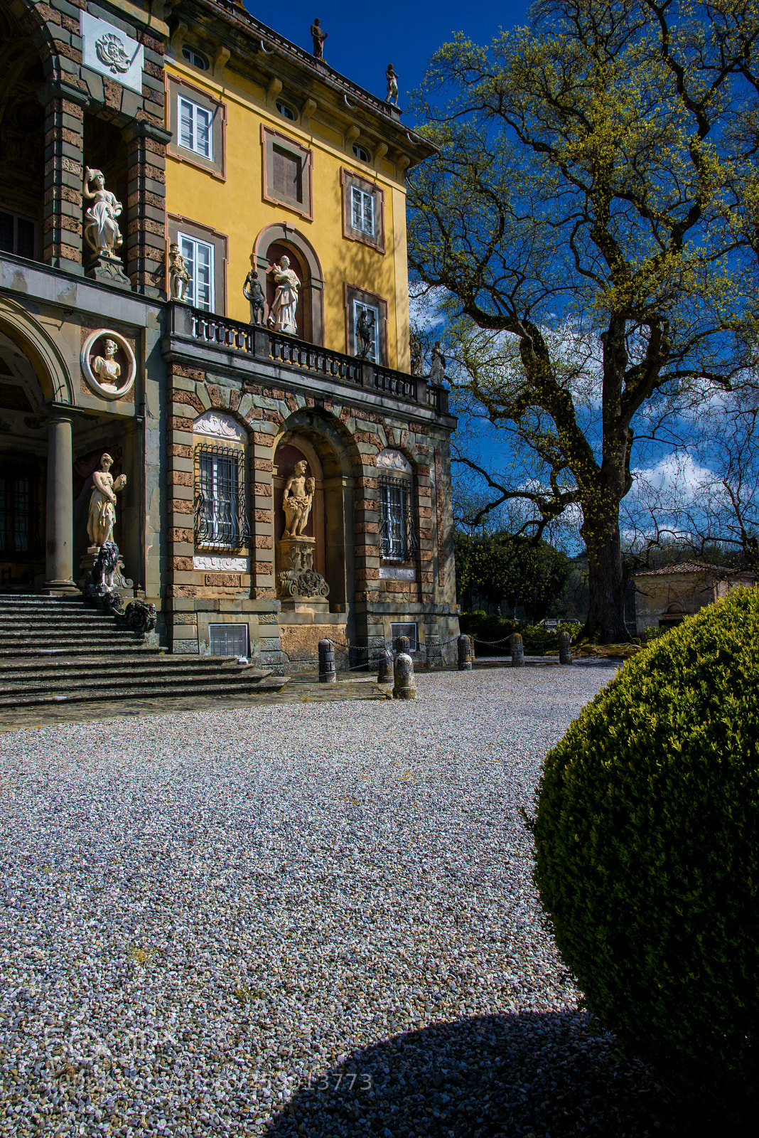 Nikon D800 sample photo. Villa torrigiani-lucca photography