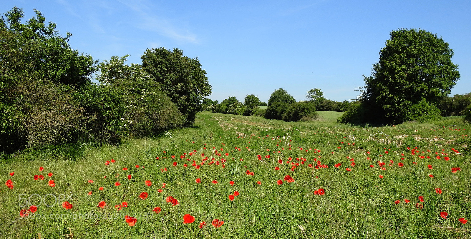 Nikon Coolpix P900 sample photo. Oberpfälzer landschaft photography