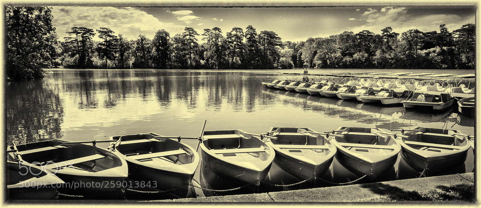 Sony a6000 sample photo. Schloßpark laxenburg sw photography