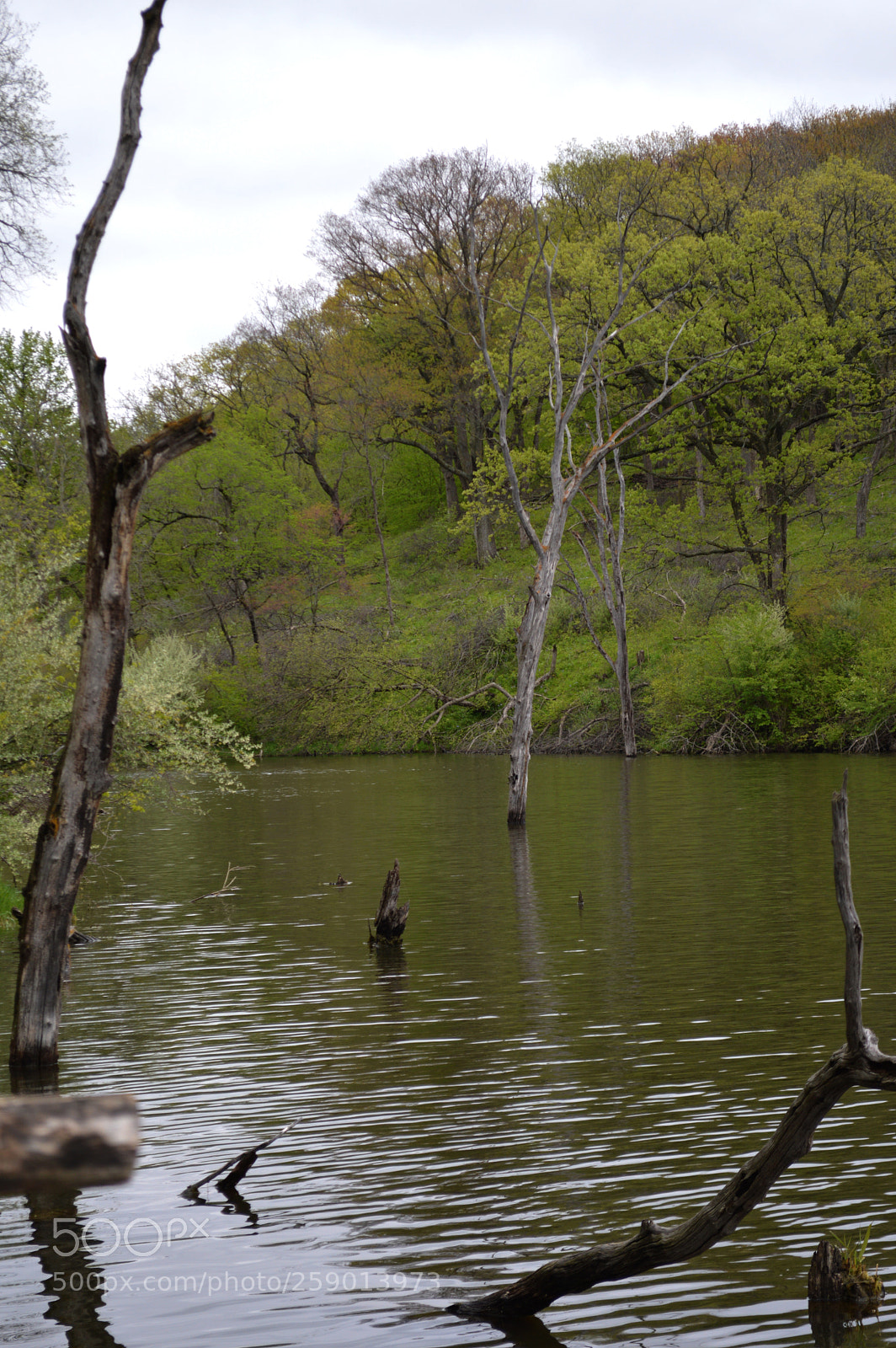 Nikon D3200 sample photo. This photography