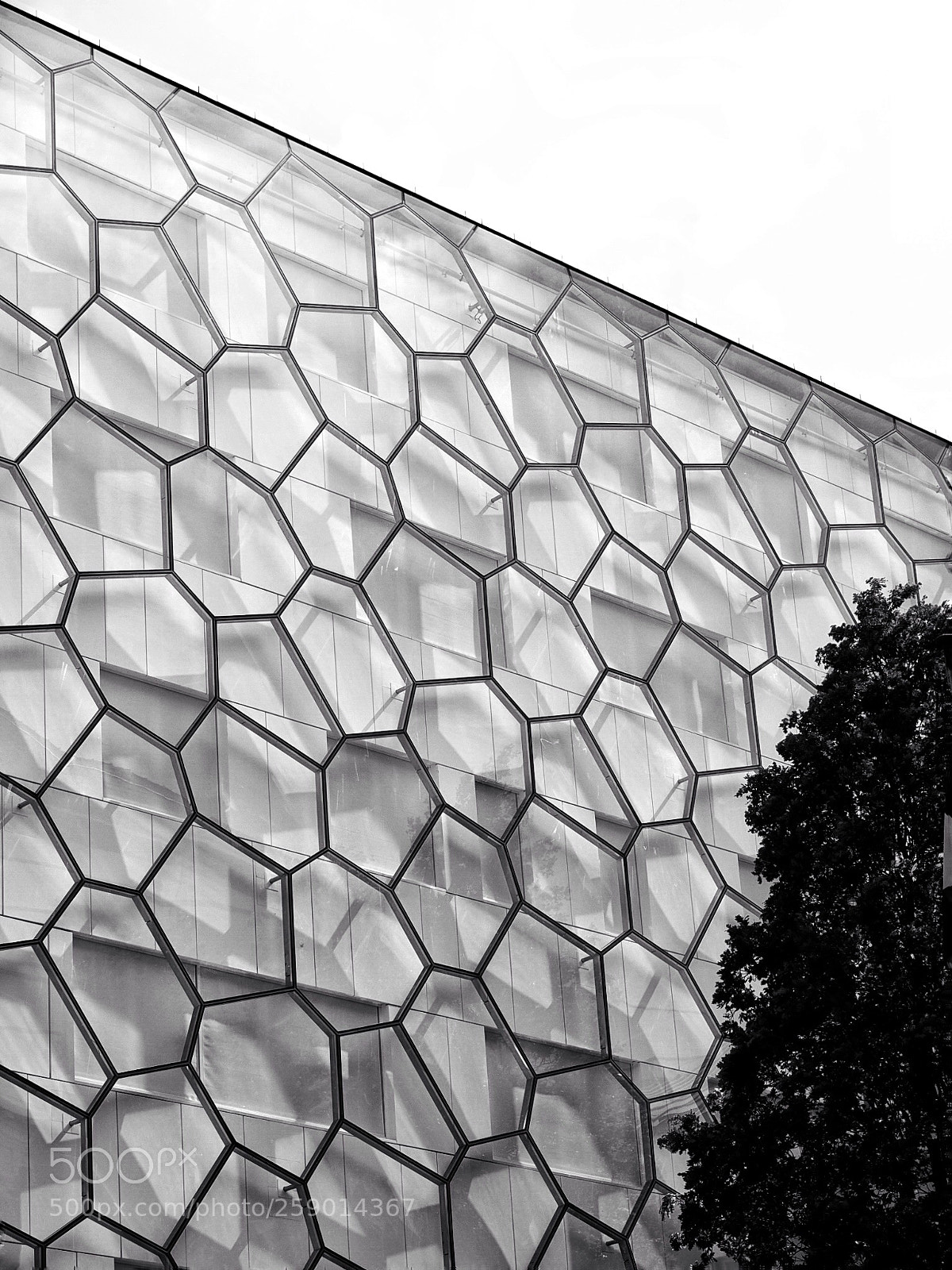 Olympus OM-D E-M10 II sample photo. Honeycomb photography
