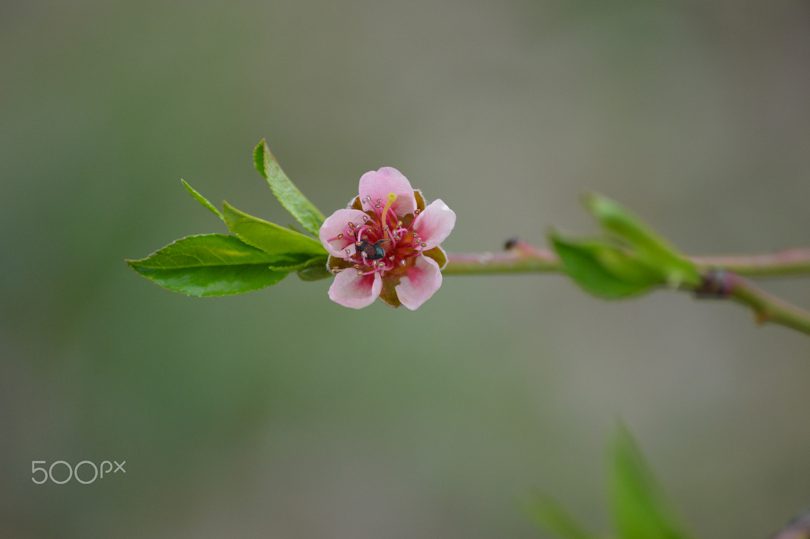 Nikon D3200 sample photo. Dsc photography