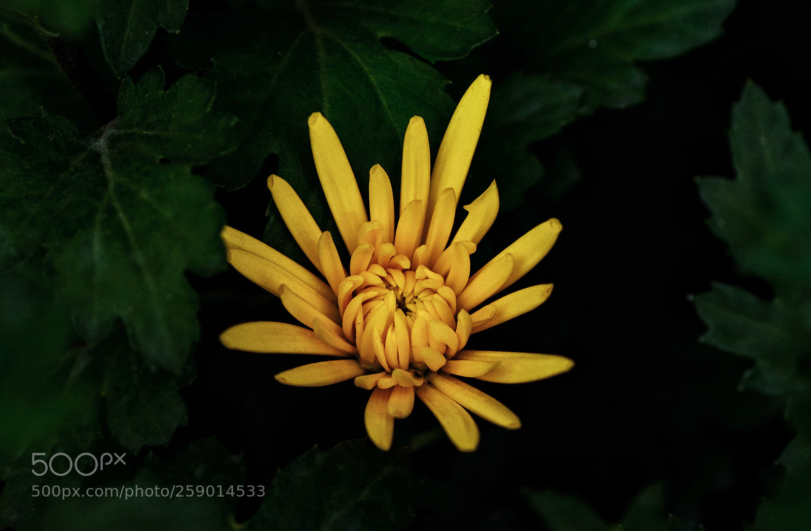 Nikon D7100 sample photo. Untitled photography