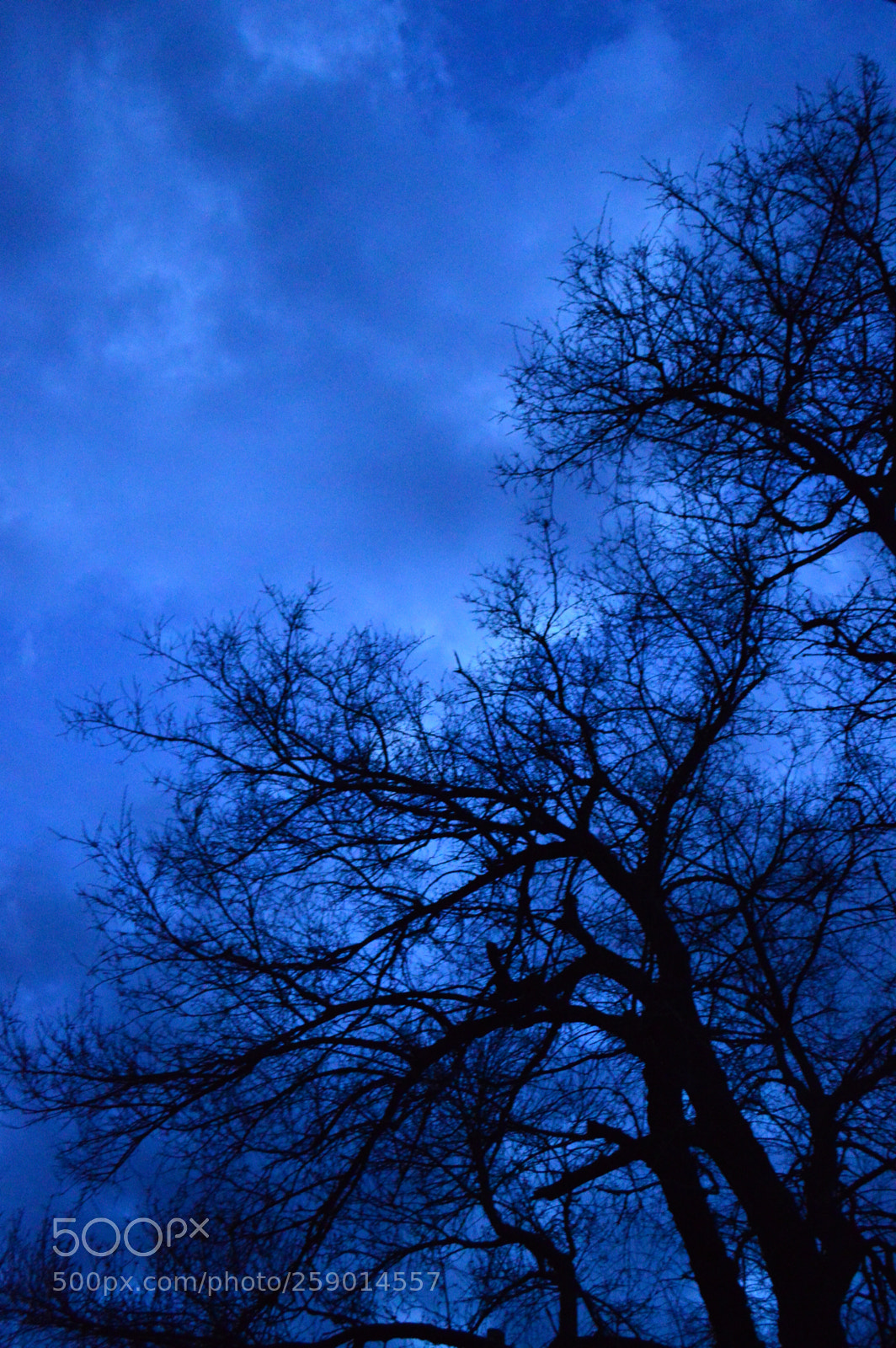 Nikon D3200 sample photo. Dsc photography