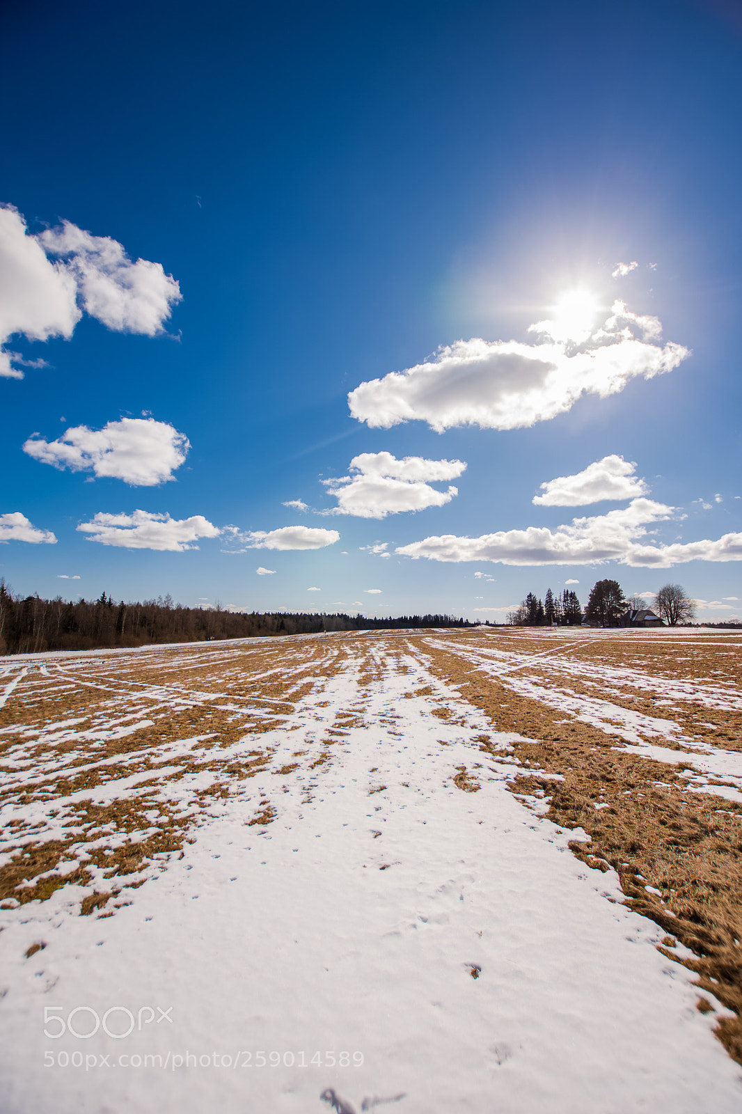 Nikon D7200 sample photo. Winter photography