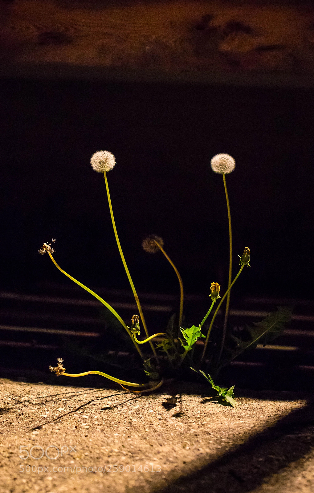 Canon EOS 5D Mark IV sample photo. Porchlight illumination photography