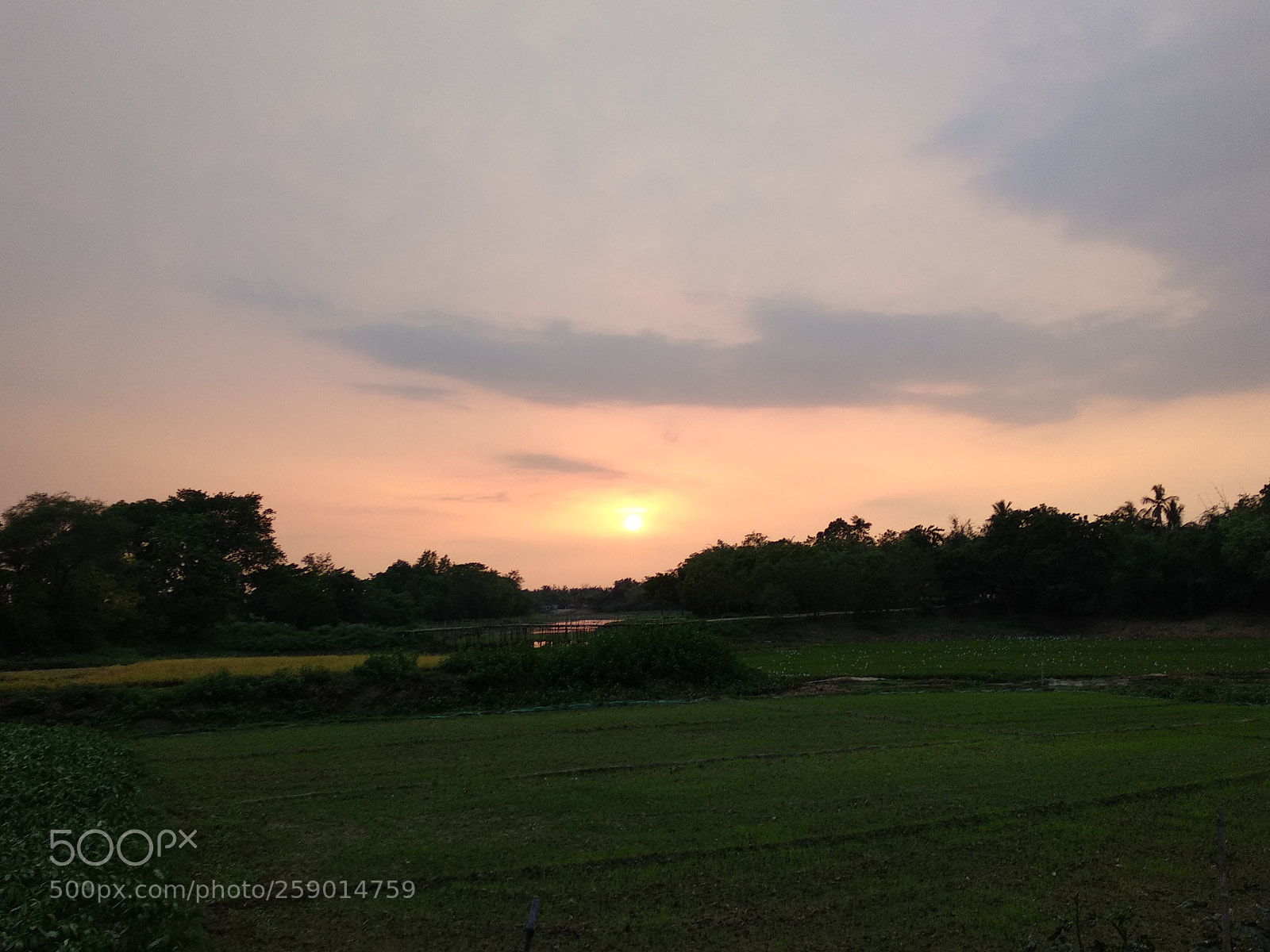 Xiaomi Mi A1 sample photo. Untitled photography