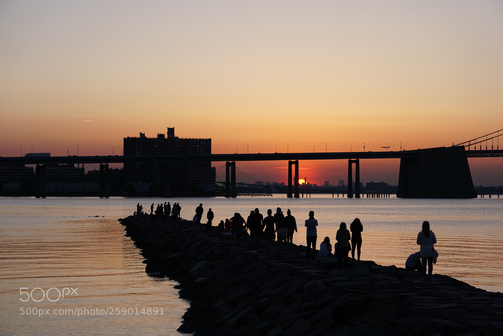 Sony a6000 sample photo. Melody of the sun photography