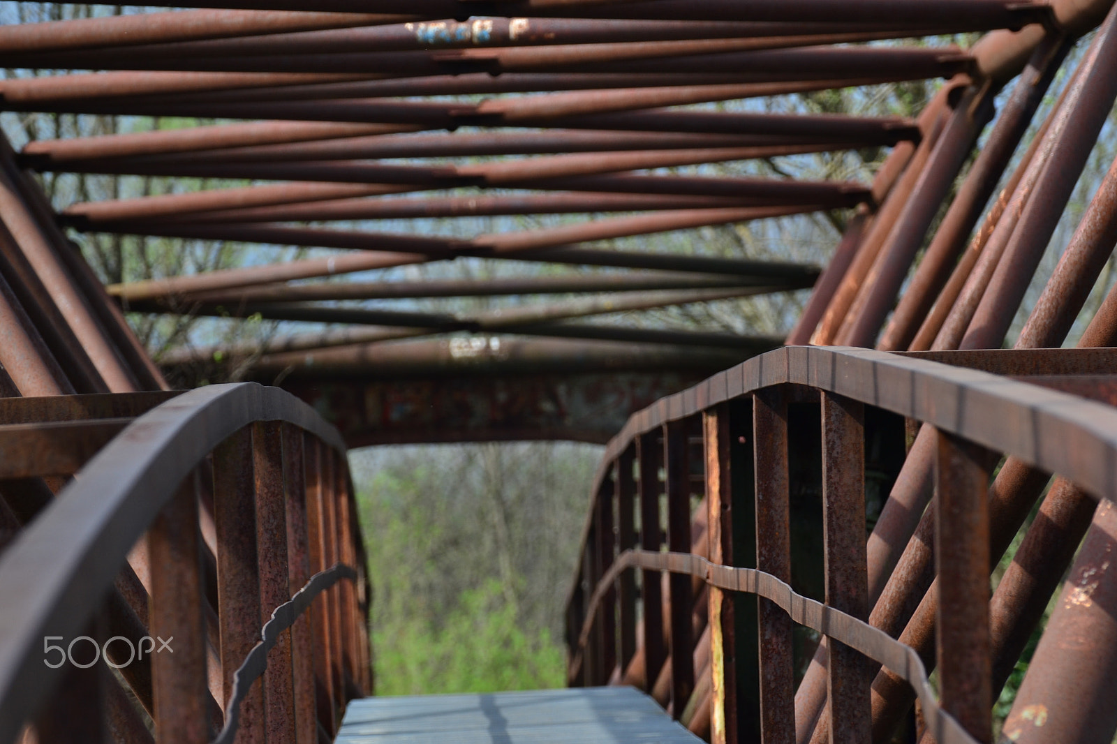 Nikon D3100 sample photo. Iron photography