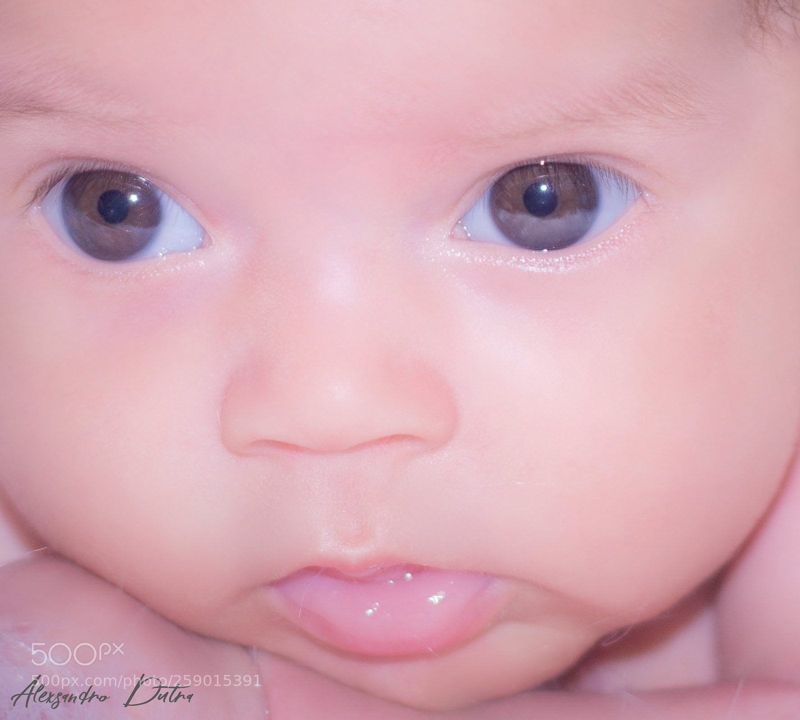 Nikon D7200 sample photo. Lara photography
