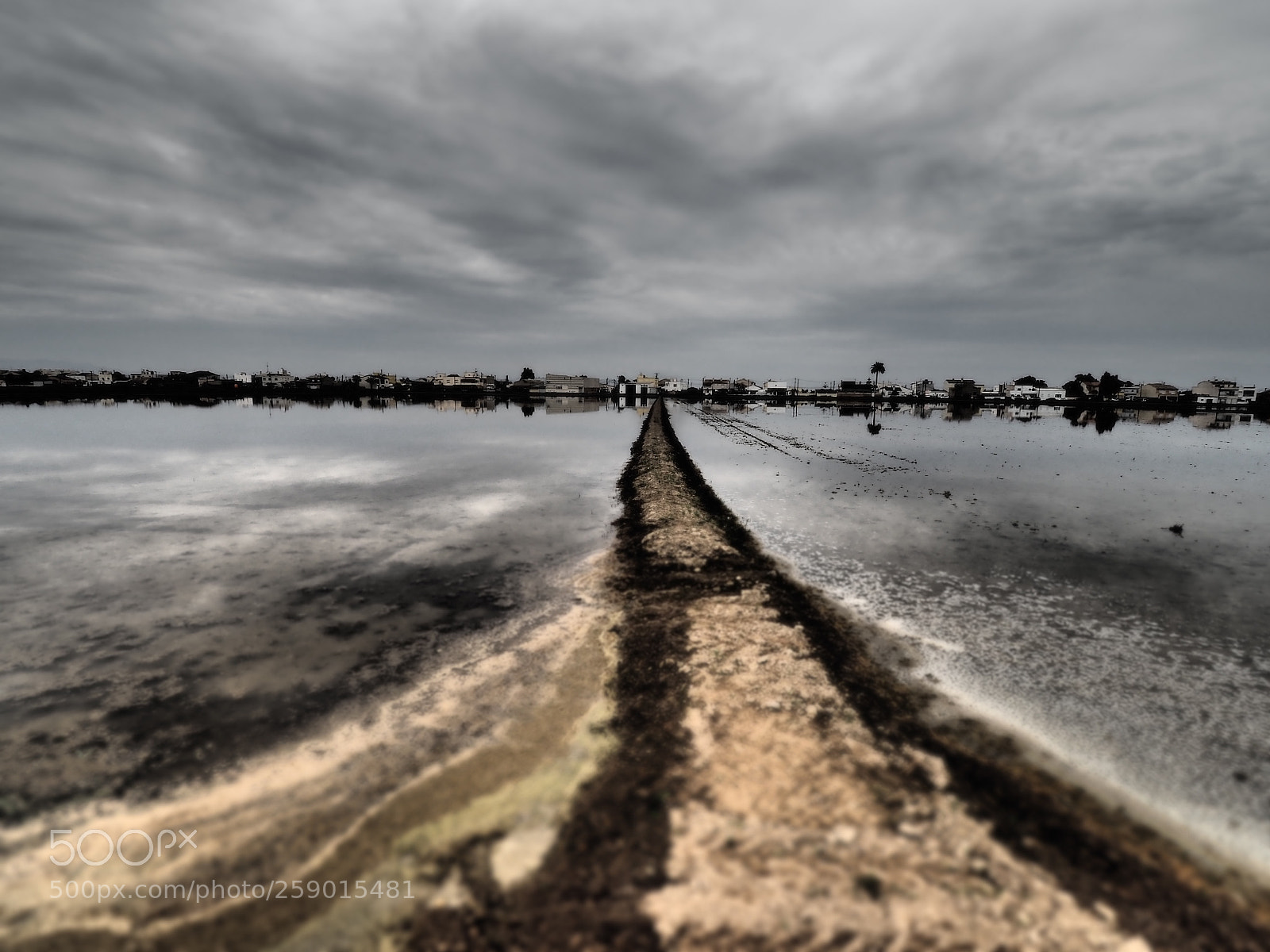Olympus OM-D E-M1 Mark II sample photo. Els muntells photography