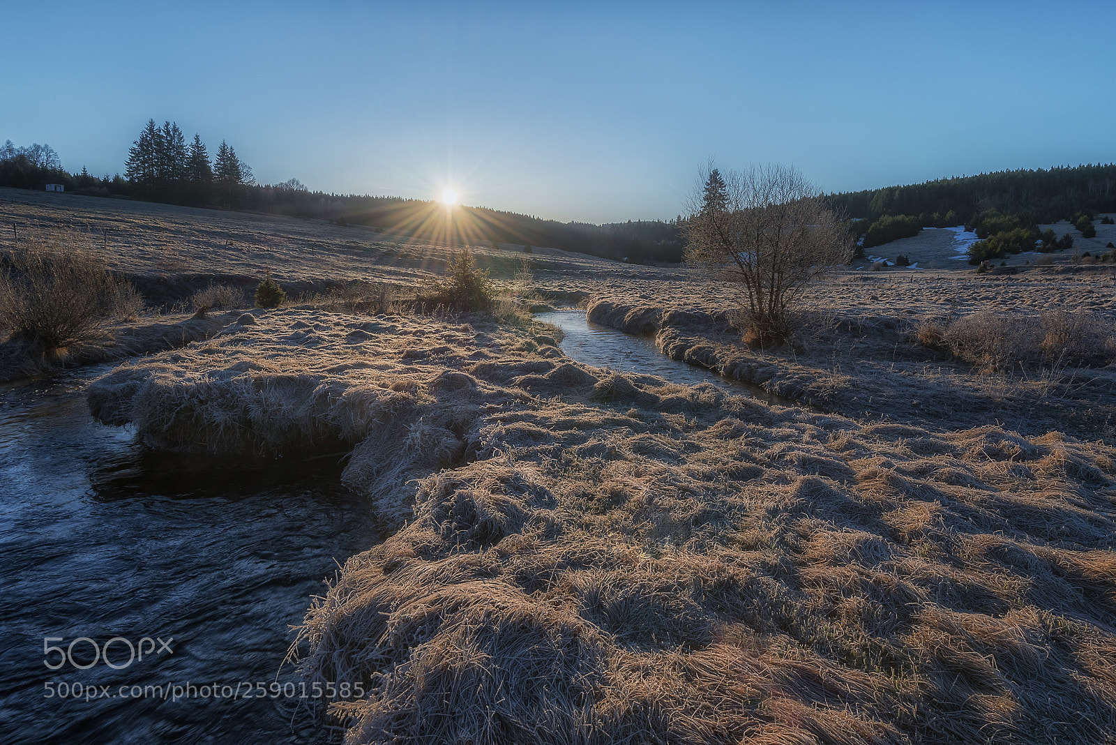 Nikon D800 sample photo. Křemelná Šumava photography