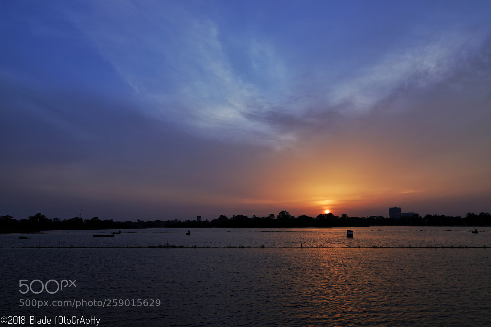 Canon EOS 5D Mark IV sample photo. Untitled photography