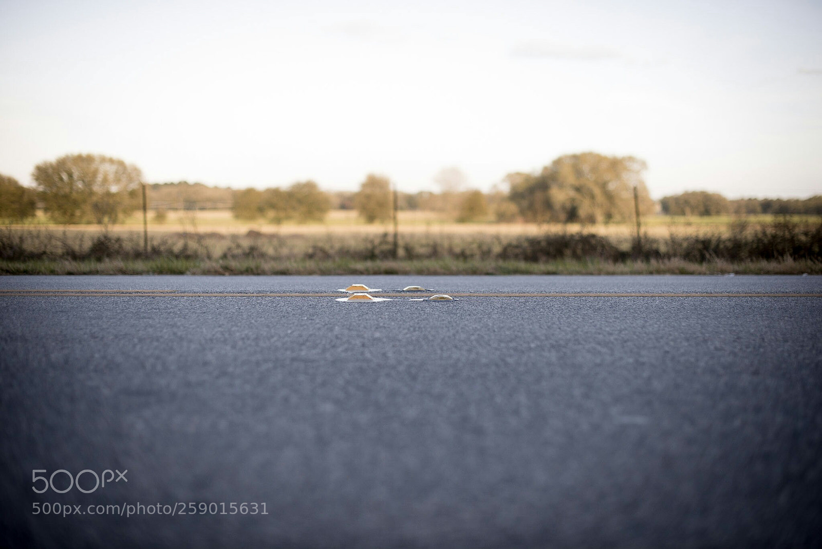Nikon D610 sample photo. Untitled photography