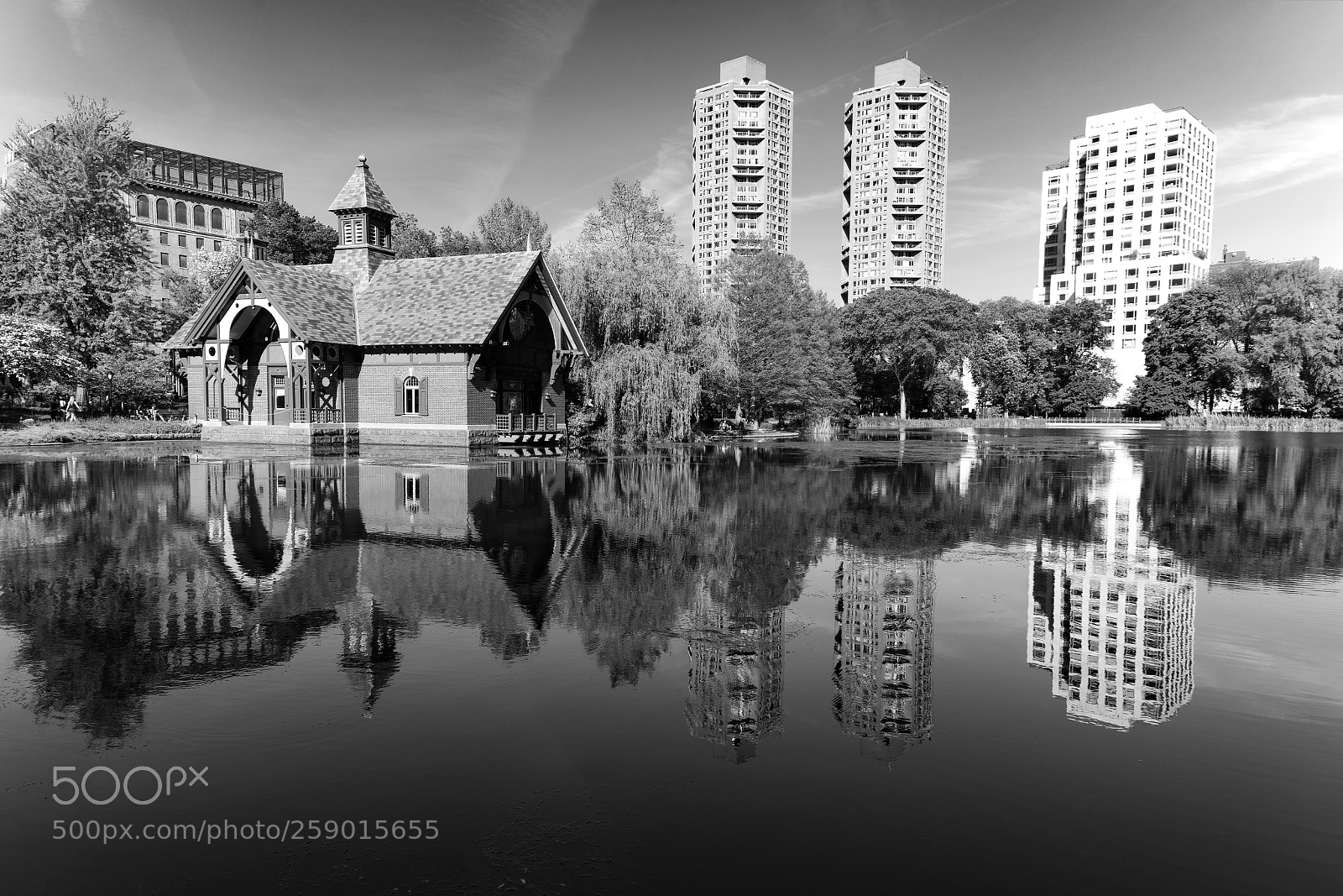 Sony a7R II sample photo. The harlem meer photography