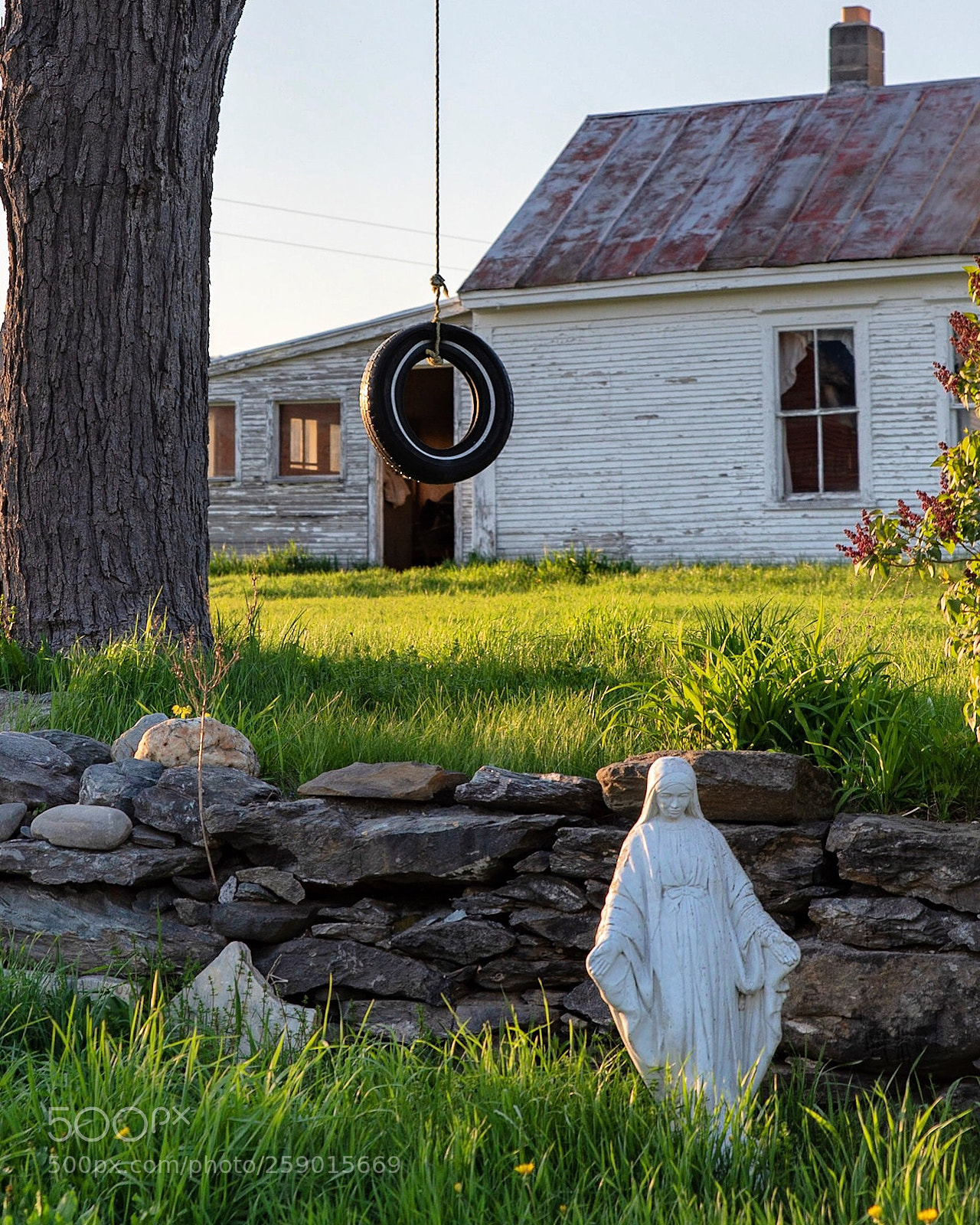 Nikon D750 sample photo. Tire swing and prayers photography