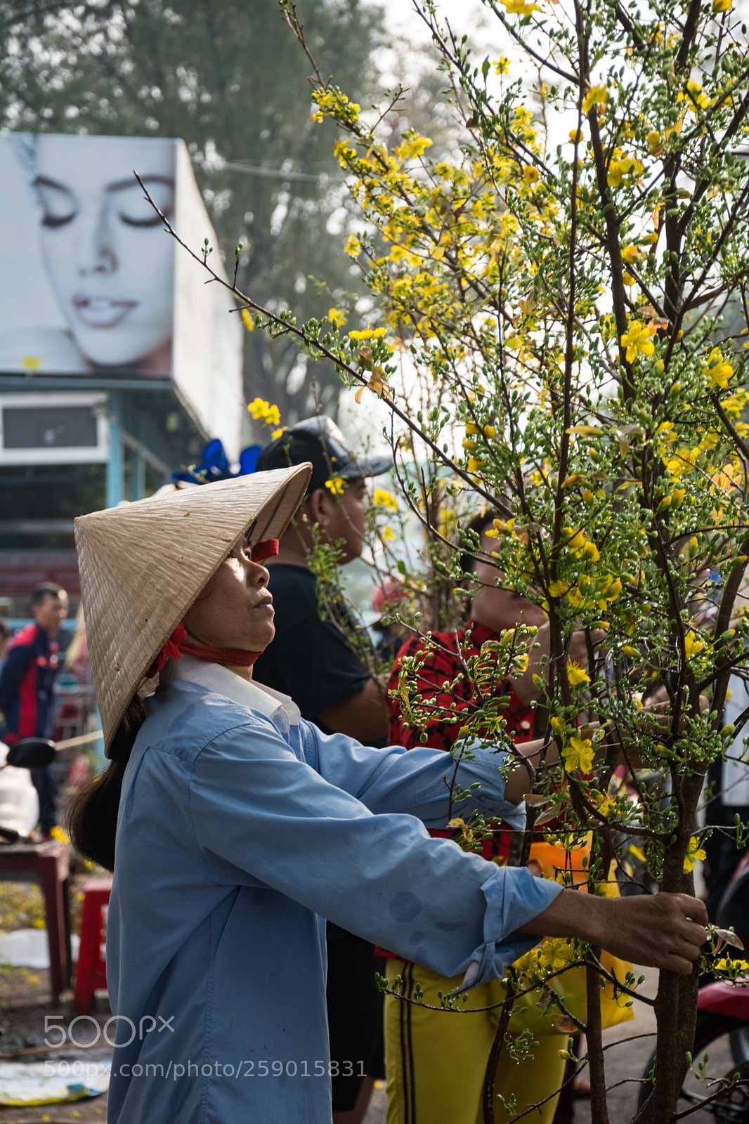 Nikon D7100 sample photo. Mobile mai photography