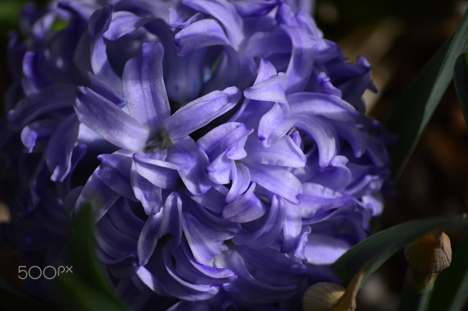 Nikon D3200 sample photo. Dsc photography