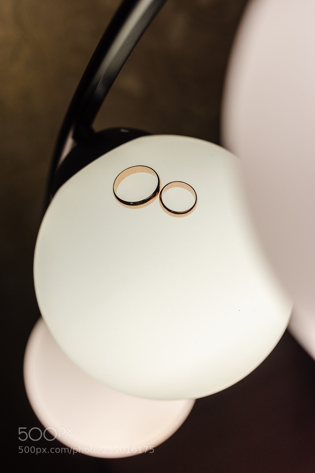 Nikon D750 sample photo. 0003.jpg photography
