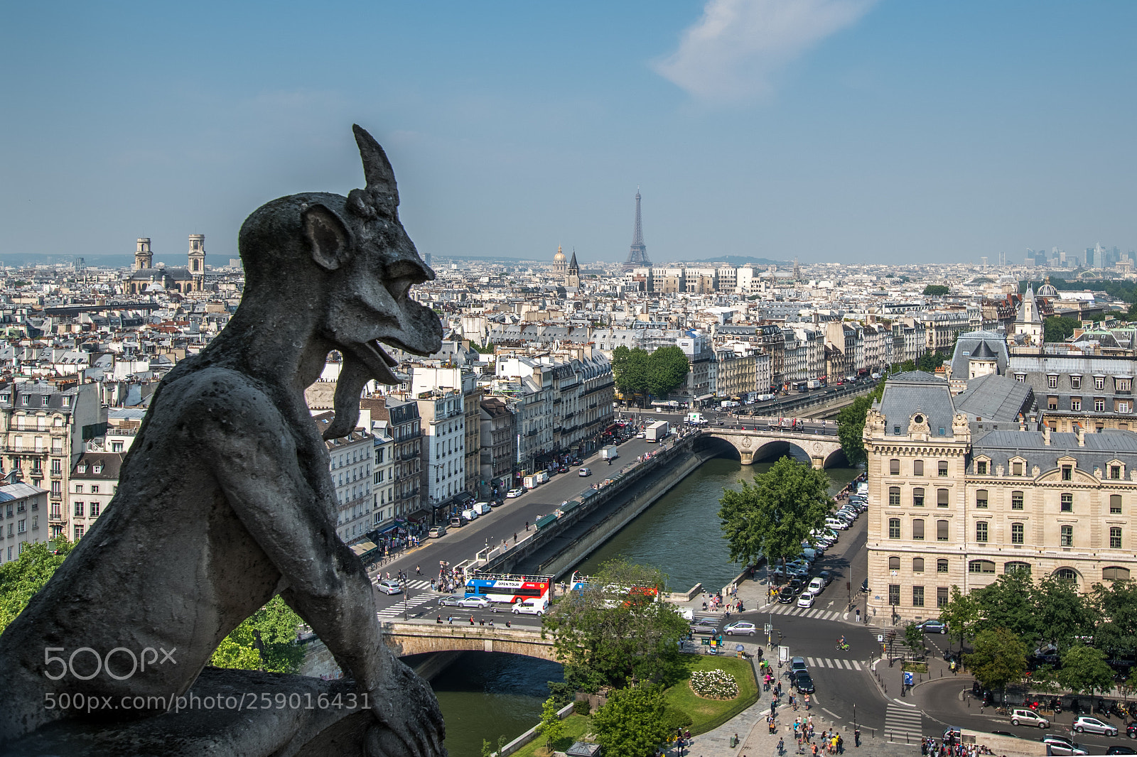 Nikon D5500 sample photo. Overlooking the city photography