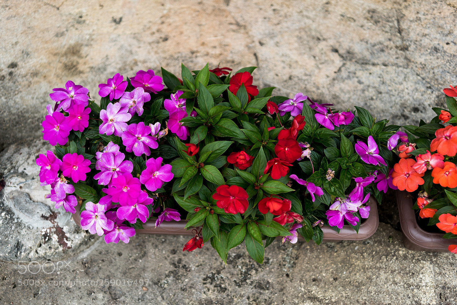 Sony a7S sample photo. Untitled photography