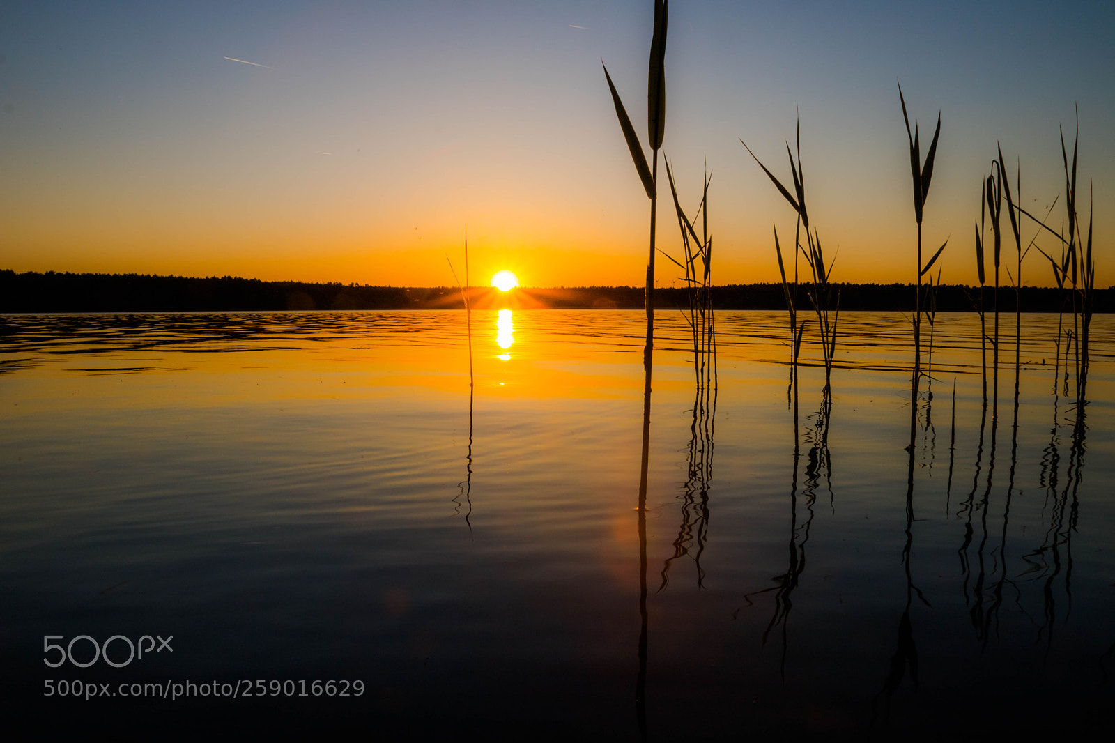 Canon EOS 760D (EOS Rebel T6s / EOS 8000D) sample photo. Sunset helene-sea photography