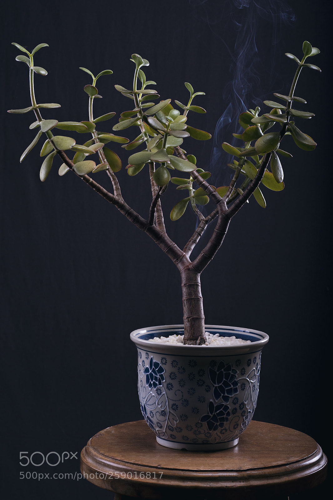 Nikon D3400 sample photo. Untitled photography