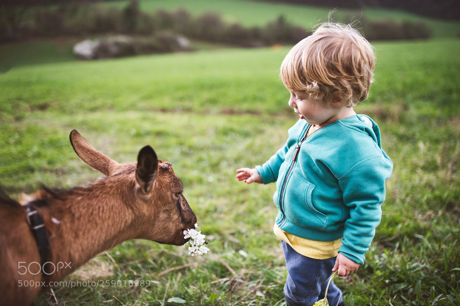 Nikon D5 sample photo. A toddler boy feeding photography