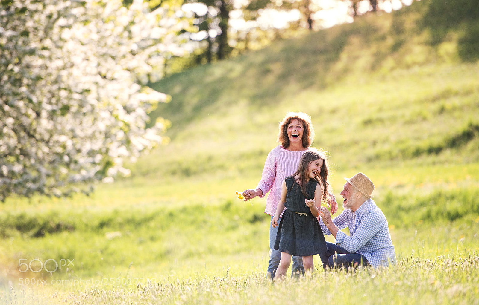 Nikon D5 sample photo. Senior couple with grandaughter photography