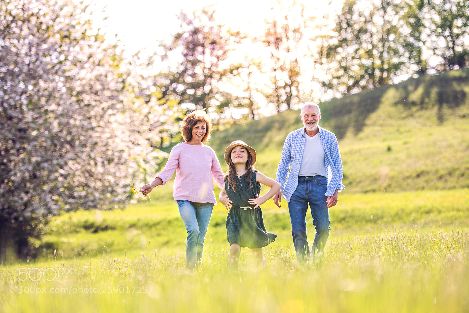 Nikon D5 sample photo. Senior couple with grandaughter photography