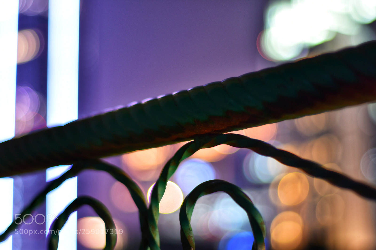 Nikon D3400 sample photo. ❲what a wonderful world❳ photography