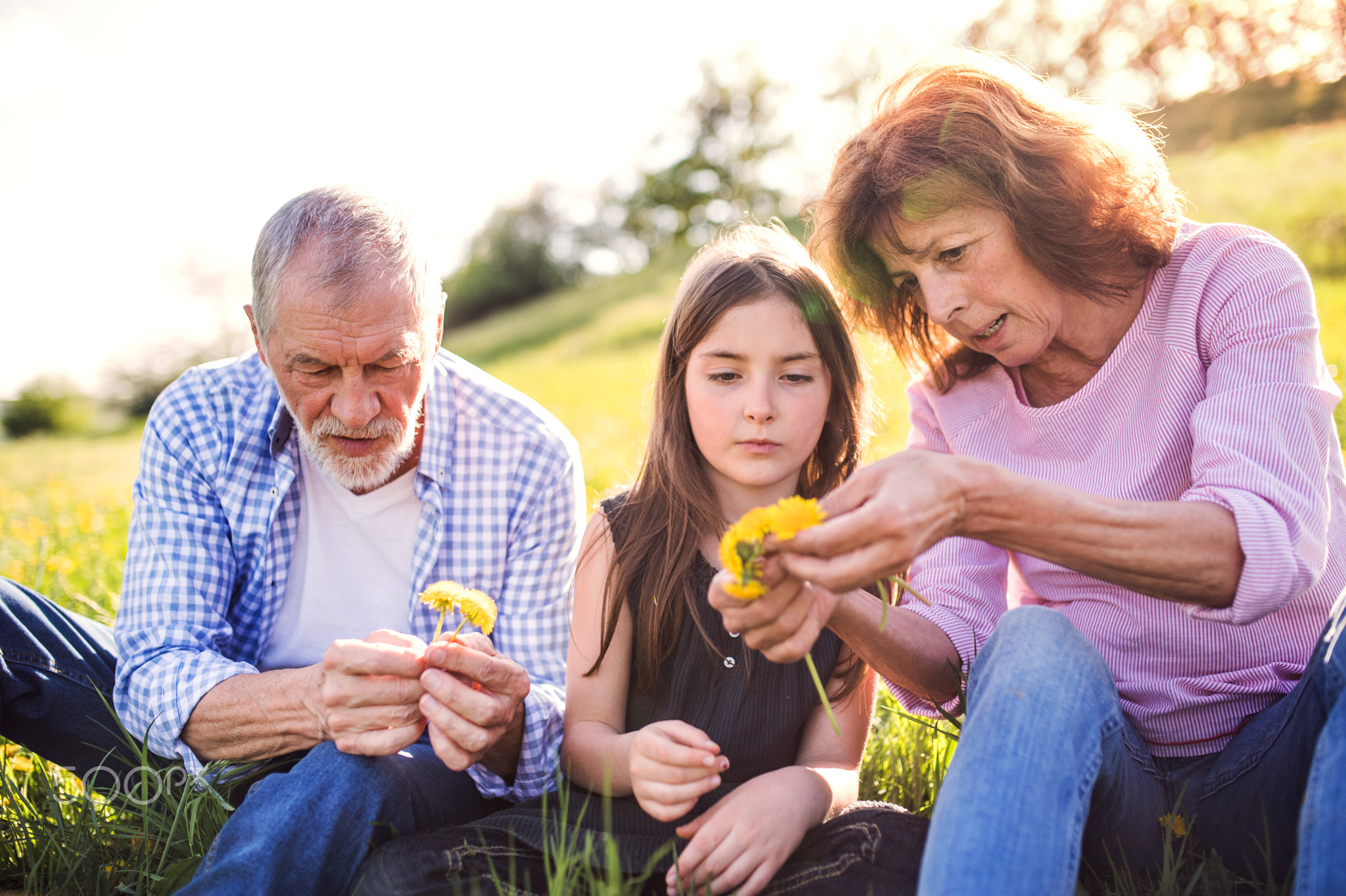Senior couple with grandaughter outside in spring nature, making dandelion wreath.