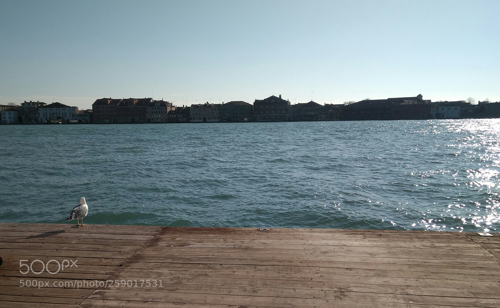 Xiaomi Redmi 4 Pro sample photo. Venezia, italy photography