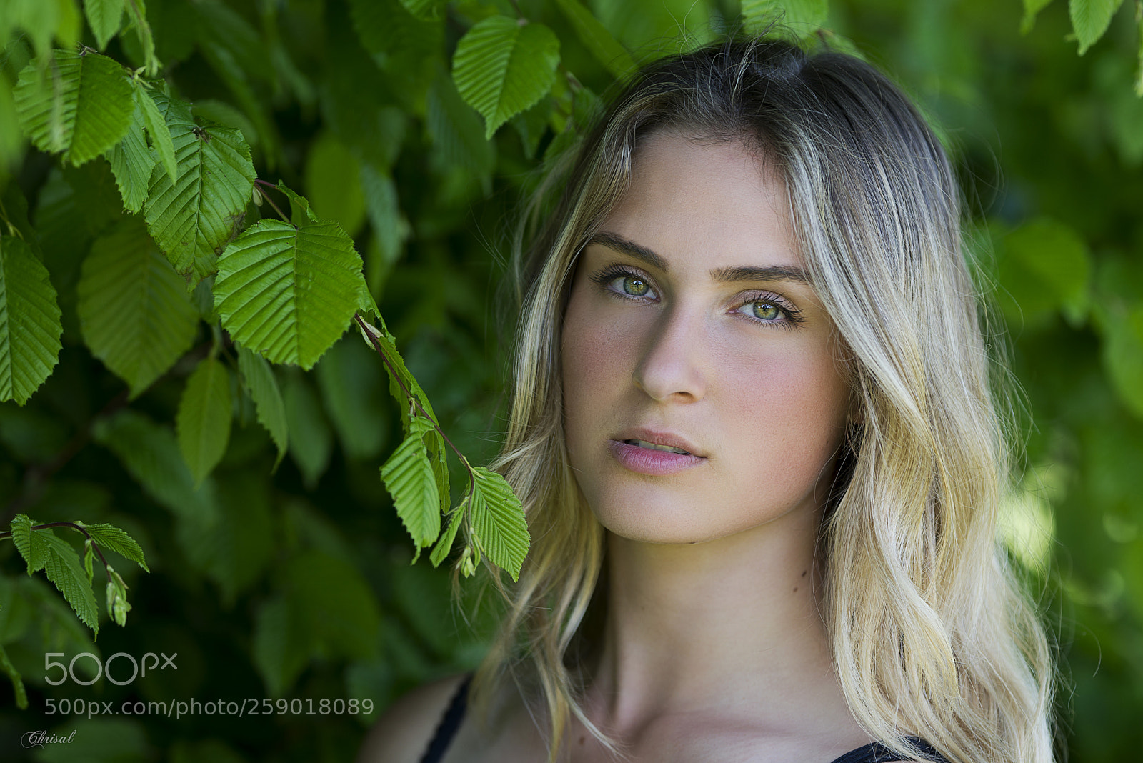 Nikon D800 sample photo. Oregan photography