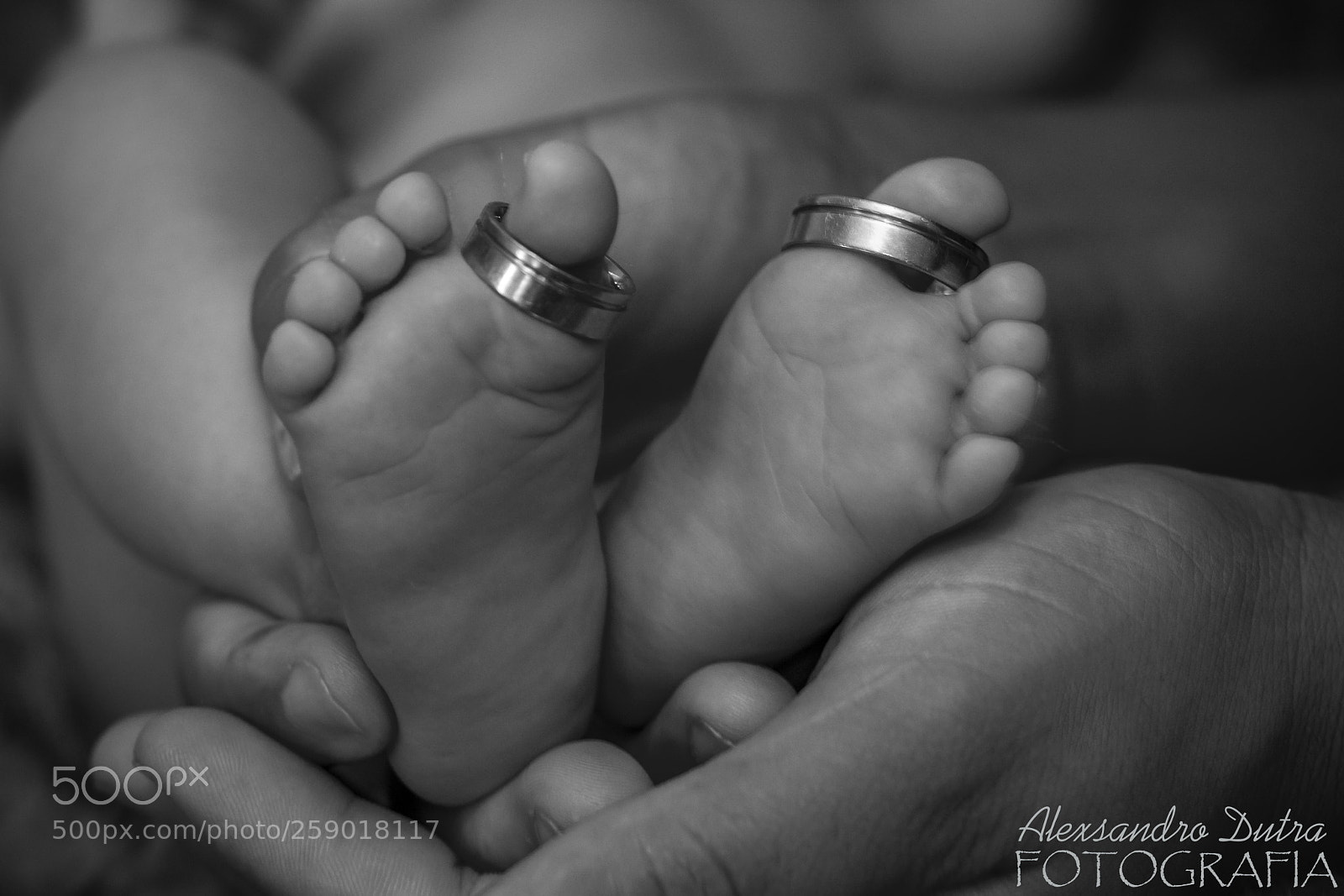Nikon D7200 sample photo. Detals photography