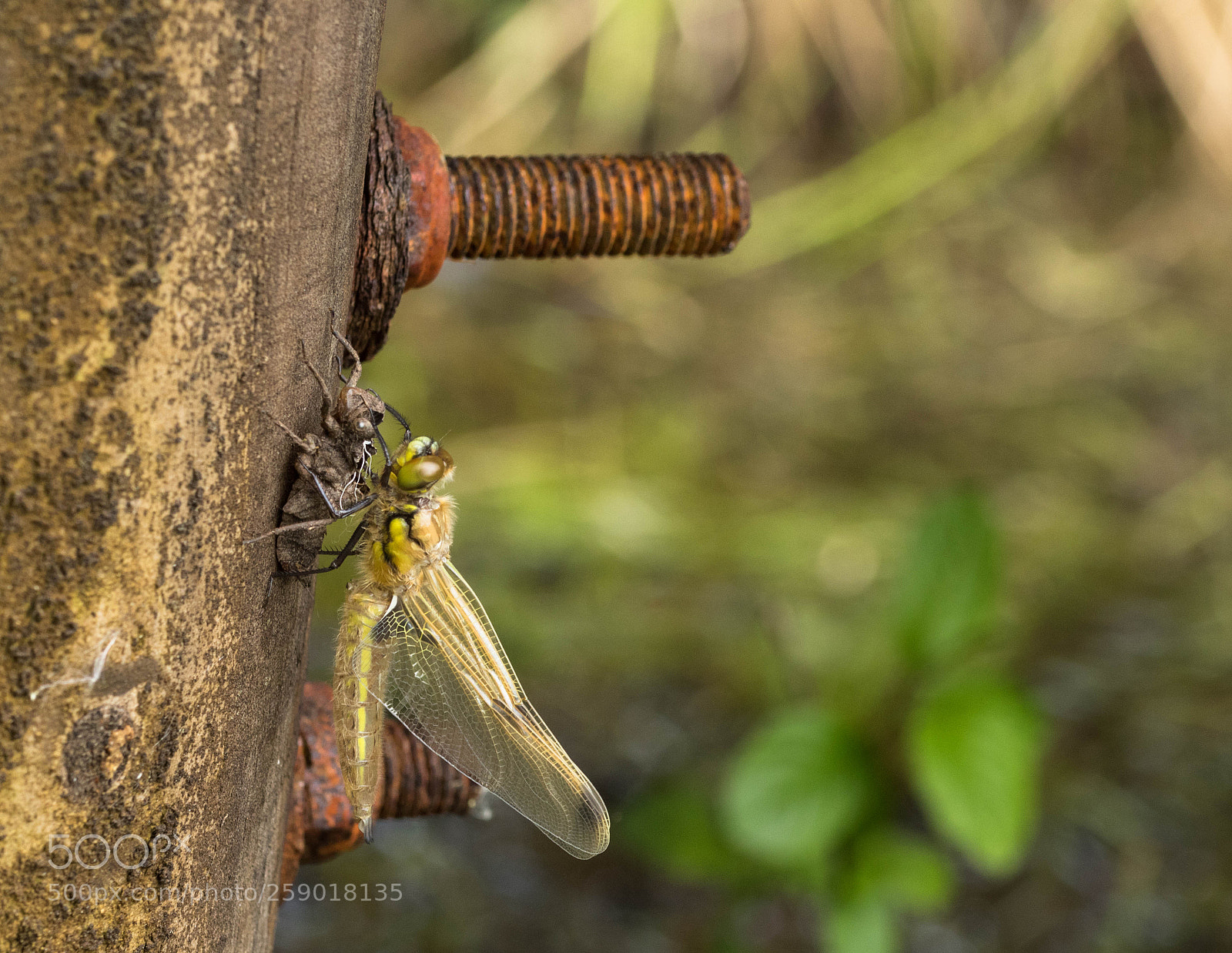 Canon EOS 7D Mark II sample photo. New day photography