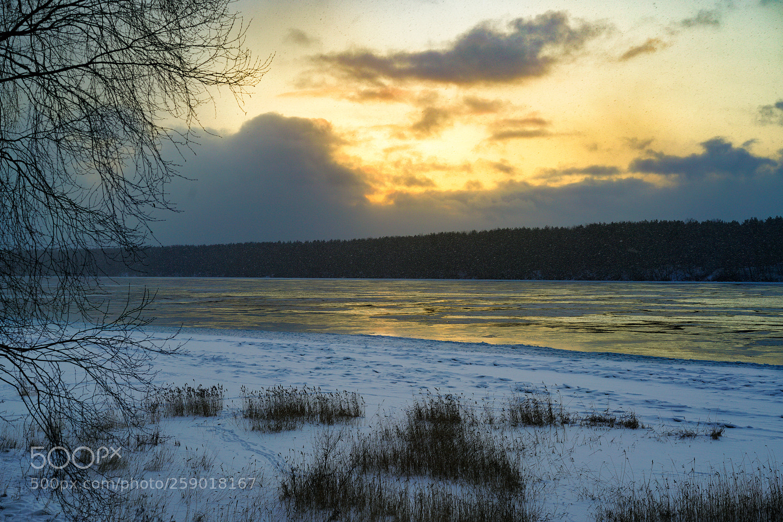 Sony a7R II sample photo. River. photography